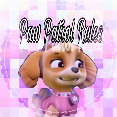 paw patrol rule 39|paw patrol tv plot.